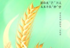 中环建生态环境设计芒种时节话安全：筑牢生态根基，中环建生态守护山河无恙图